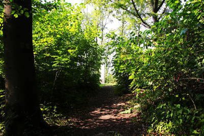 Römerschlacht am Harzhorn