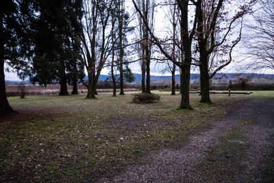 Römersiedlung Friesenheim