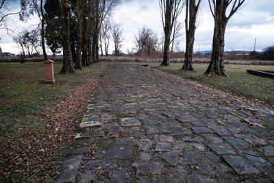Römersiedlung Friesenheim