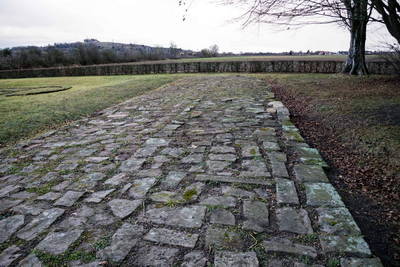 Römersiedlung Friesenheim