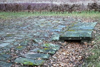 Römersiedlung Friesenheim