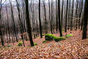 Römersteine Odenwald