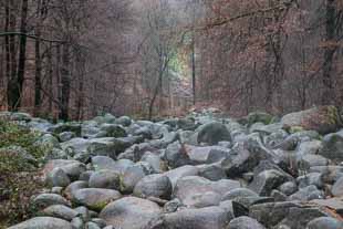 Römersteine Odenwald