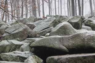 Römersteine Odenwald