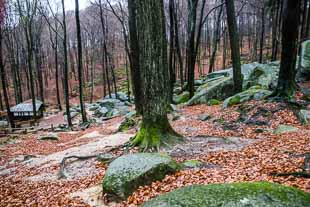 Römersteine Odenwald