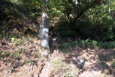 Römerstraße Bacharach