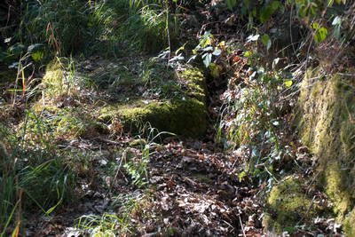 Römerstraße Bacharach
