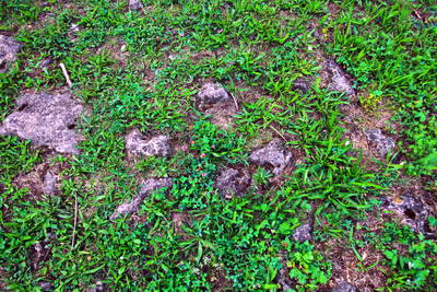 Römerstraße Kornwestheim