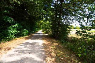 Römerstraße Renchen