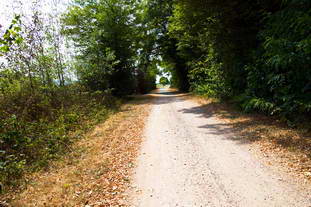 Römerstraße Renchen