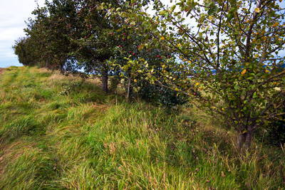 Römerstraße Rottweil - Sulz