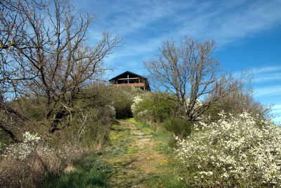 Römerwarte Katzenberg - Schutzbau mit Infos