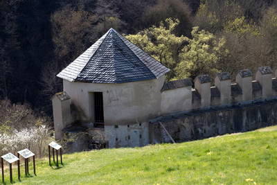 Römerwarte Katzenberg - Wehrmauer, Infos und Umgebung