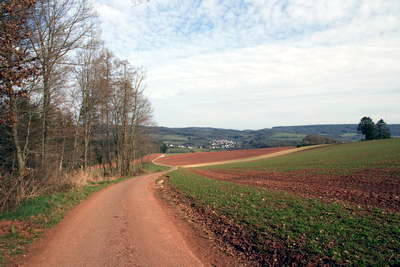 Römische Grabhügel von Oberlöstern
