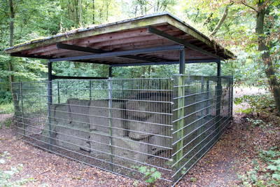 Römische Grabkammer in Köln