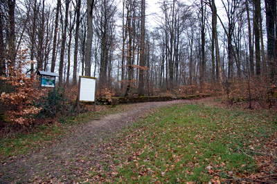 Römische Langmauer Butzweiler