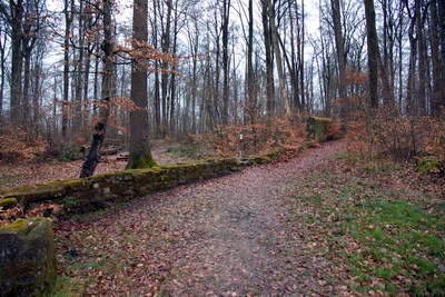 Römische Langmauer Butzweiler