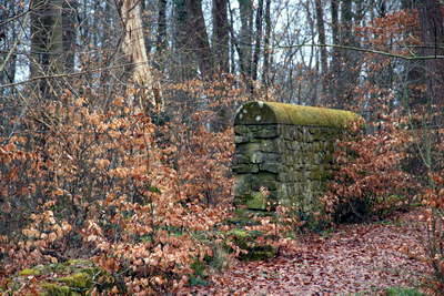 Römische Langmauer Butzweiler