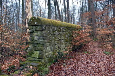 Römische Langmauer Butzweiler