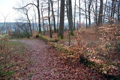 Römische Langmauer Butzweiler