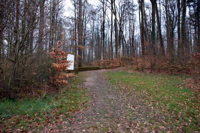 Römische Langmauer Butzweiler