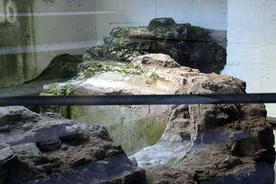 Römische Therme Andernach