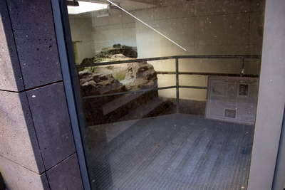 Römische Therme Andernach