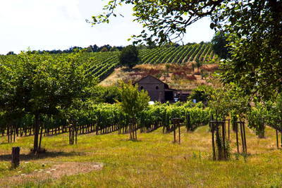 Römische Villa Urbana - Longuich