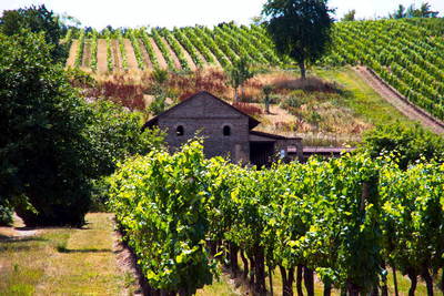 Römische Villa Urbana - Longuich