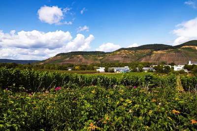 Römische Villa Urbana - Longuich