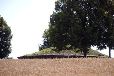 Römischer Grabtumulus Weisel