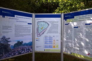 Römischer Tempel Nonnweiler, keltische Ringwallanlage