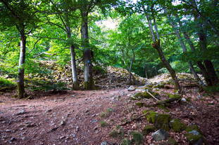Römischer Tempel Nonnweiler, keltische Ringwallanlage