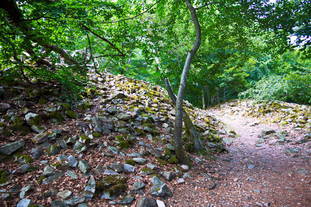 Römischer Tempel Nonnweiler, keltische Ringwallanlage