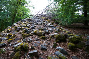 Römischer Tempel Nonnweiler, keltische Ringwallanlage