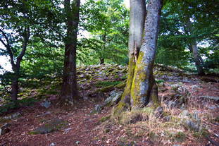 Römischer Tempel Nonnweiler, keltische Ringwallanlage