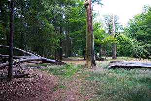 Römischer Tempel Nonnweiler, keltische Ringwallanlage