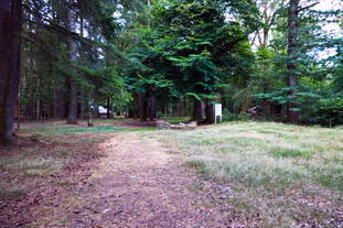 Römischer Tempel Nonnweiler