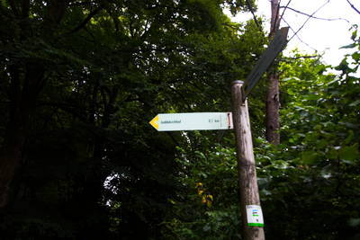 Römischer Tempelbezirk Pelm