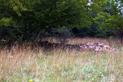 Römischer Tempelbezirk Pelm