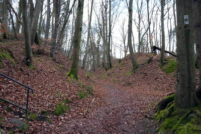 Römisches Kupferbergwerk  in Butzweiler