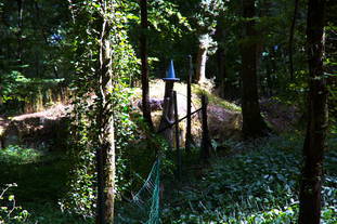 Steinbruch Frankelbach