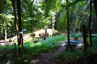 Steinbruch Frankelbach