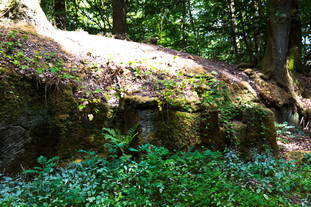 Steinbruch Frankelbach