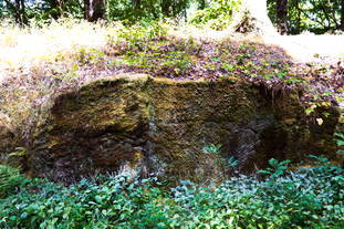 Steinbruch Frankelbach