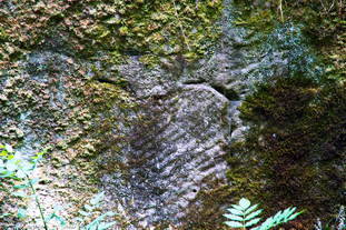 Steinbruch Frankelbach