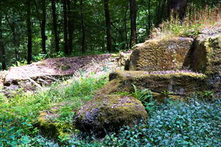 Steinbruch Frankelbach