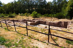 Vicus Wareswald Gebäude