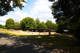 Vicus Wareswald Gebäude