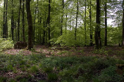 Villa Rustica (Wamboltsches Schlößchen)